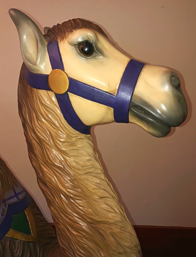 Camel face
