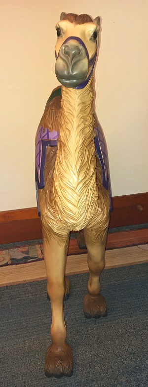 Camel front