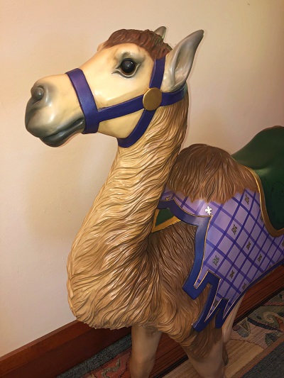 Camel head
