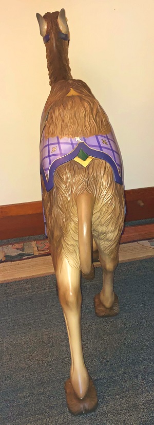 Camel rear