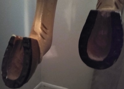 Herschell-Spillman front hooves