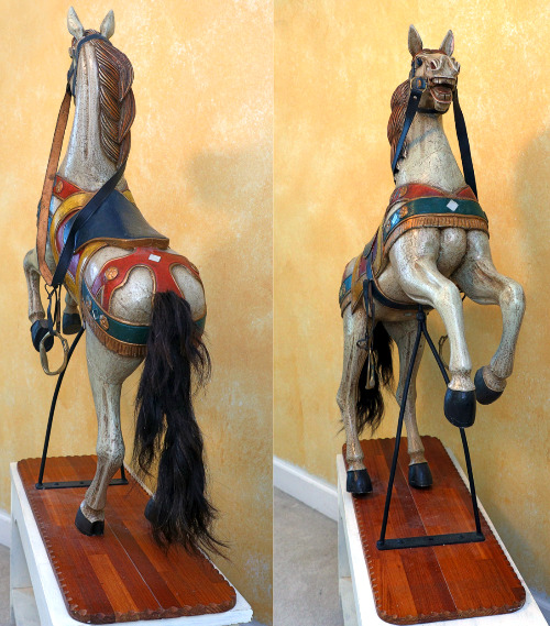 Prancer Horse back and front
