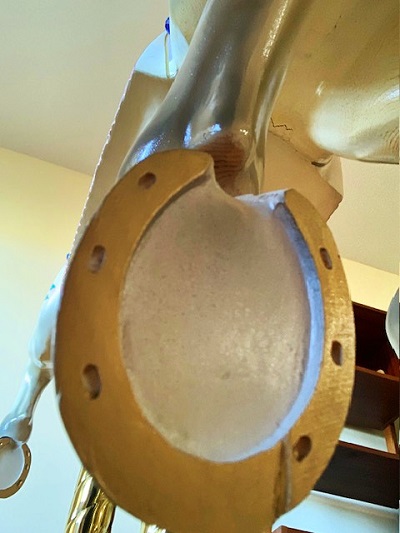 Carousel Rocker horseshoe