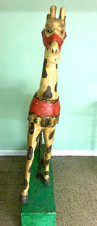 Standing giraffe front